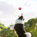 Lustiger automatischer Anti-Angst-Ball - Hunde und Katzen - ActivePower