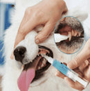 KIT 2 Peludita Deep Dental Cleaning Pens – BLITZANGEBOT!