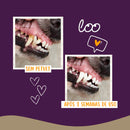 PetVet Anti-Zahnstein-Entferner-Spray Original