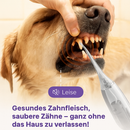 Peludita Ultraschall-Zahnsteinentferner - Blitzangebot