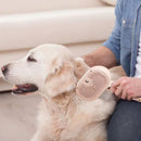 3-in-1-Dampfbürste mit Akku – SUPERANGEBOT!