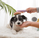 Peludita Kürbisschaber - SONDERANGEBOT