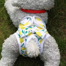 Wiederverwendbare Haustierwindel von Peludita – Blitzaktion