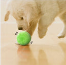 Lustiger automatischer Anti-Angst-Ball - Hunde und Katzen - ActivePower