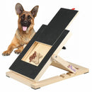 Interaktive Nagelfeile für Haustiere von Peludita – Funktionalität und Spaß in einem einzigen Produkt 