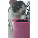 PeluWater Fountain Trinkbrunnen