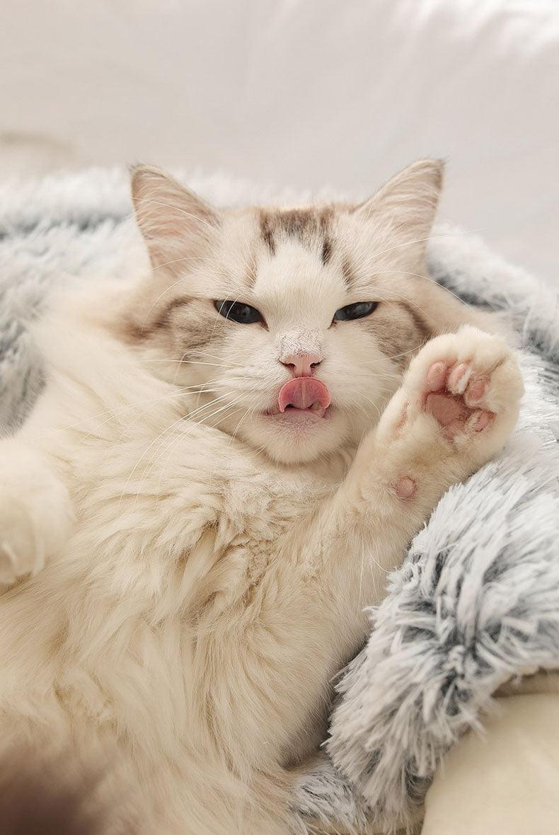 Flauschiges Bett 