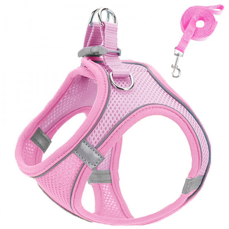 Brustgeschirr mit Halsband - Peludita