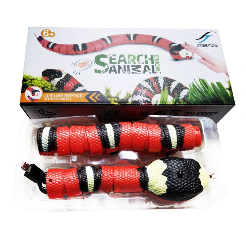 Schlangenkatze