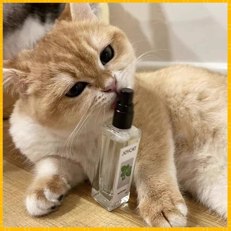 Matatabi Spray für Katzen Peludita-SUPER ANGEBOT 