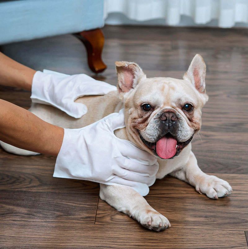 Pet Peludita Wet Gloves – Reinigt, spendet Feuchtigkeit und entfernt lose Haare! Blitzangebot 