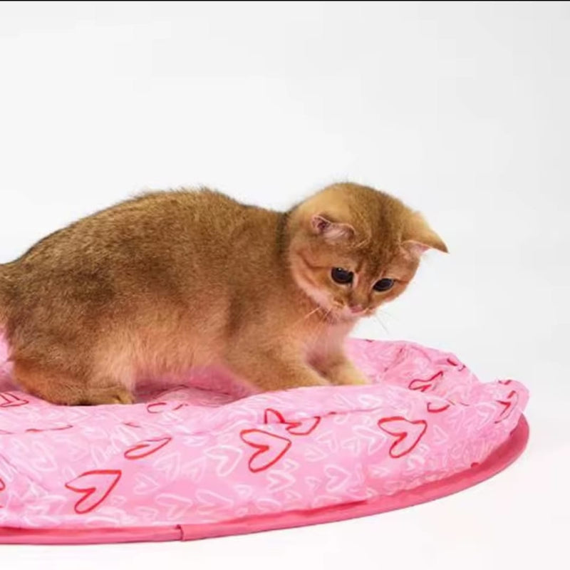 Peludita Elektrische Katzenjagdmatte - Blitzangebot