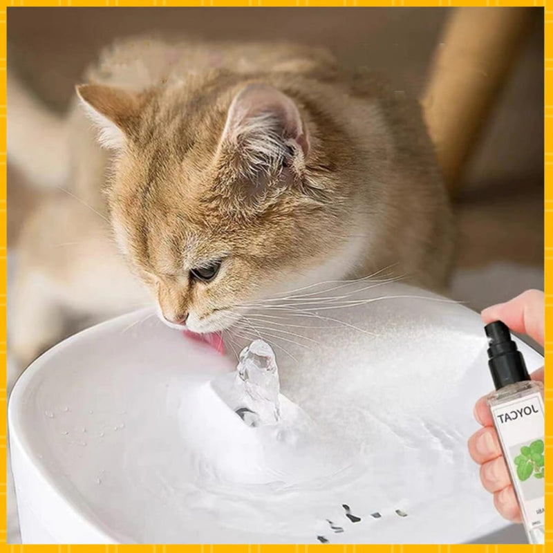 Matatabi Spray für Katzen Peludita-SUPER ANGEBOT 