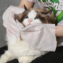 Pet Peludita Wet Gloves – Reinigt, spendet Feuchtigkeit und entfernt lose Haare! Blitzangebot 