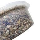 Peludita Instant Katzengras-Set 2 Einheiten - SUPERANGEBOT