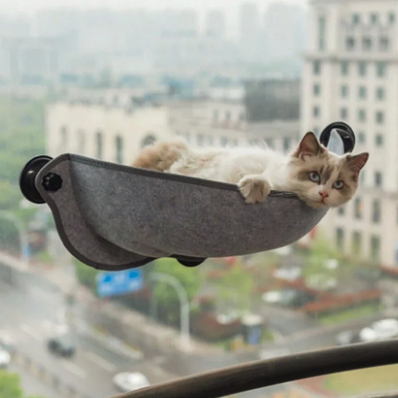 Peludita Fensterbett – Komfort und Sicherheit für Hunde und Katzen! 