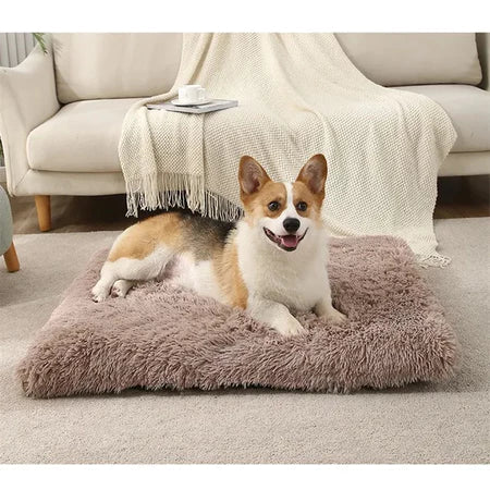 Luxuriöses Peludita-Schlafsofa für Haustiere - SUPERANGEBOT 