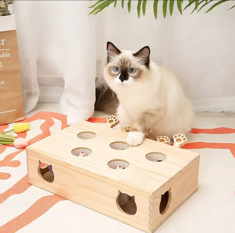 Peludita Interaktives Klavier für Katzen – Blitzangebot 