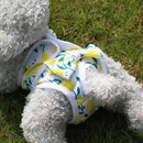 Wiederverwendbare Haustierwindel von Peludita – Blitzaktion 