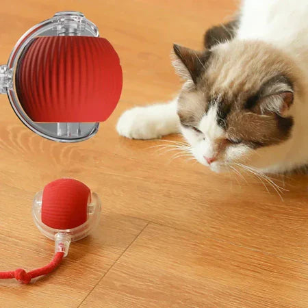 Peludita Interaktiver Ball mit Sensor - Blitzangebot 